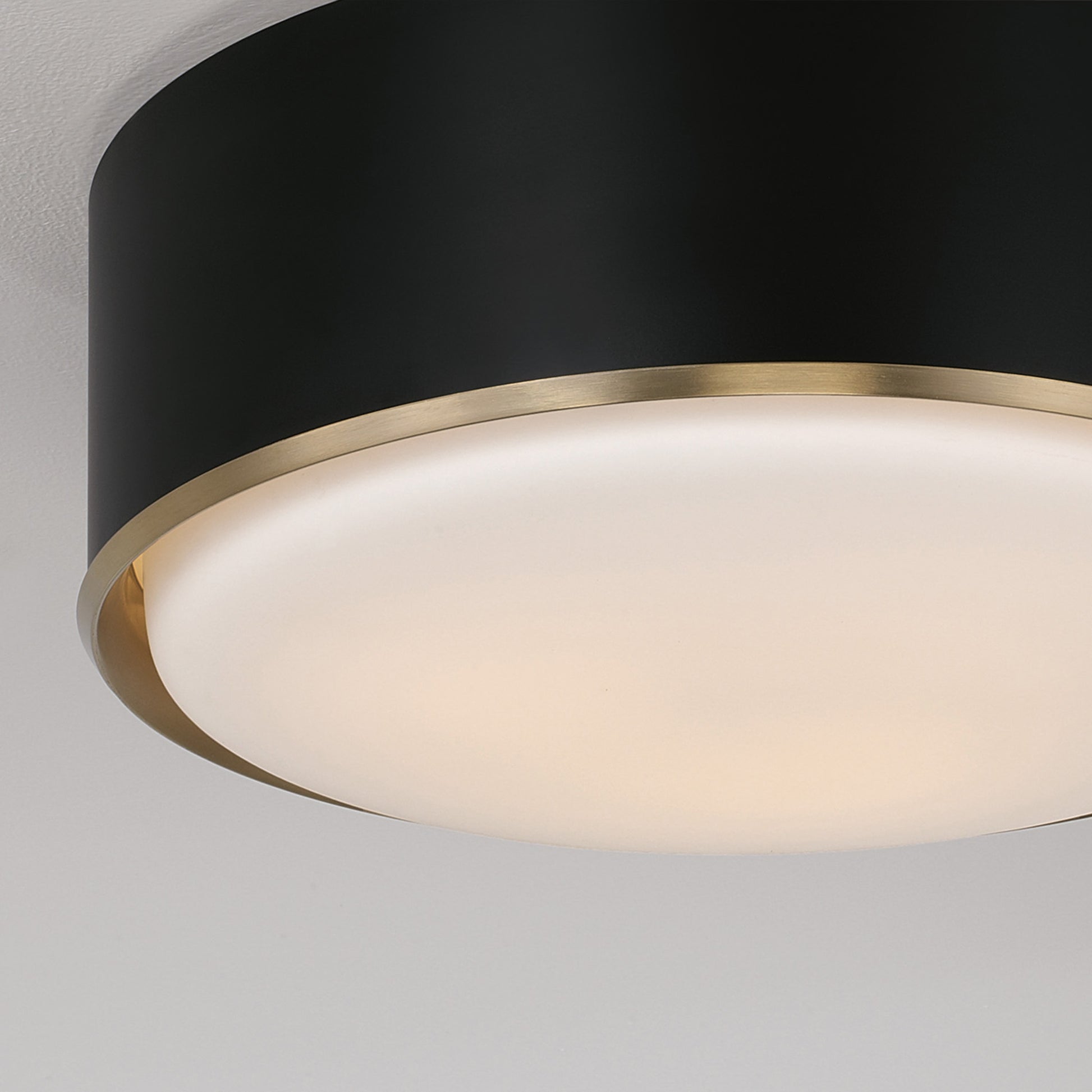 Capital Carlton Flush Mount