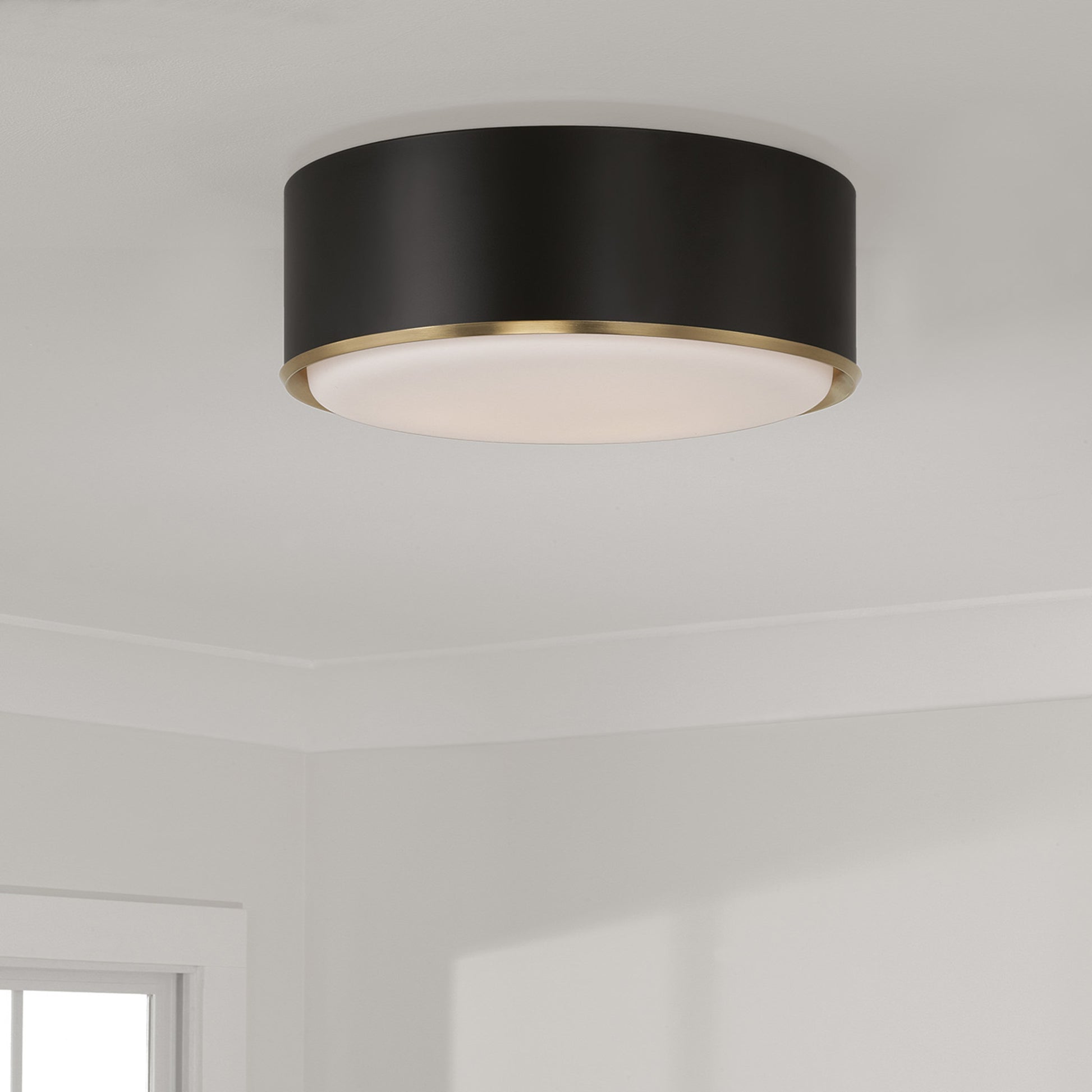Capital Carlton Flush Mount
