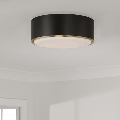 Capital Carlton Flush Mount