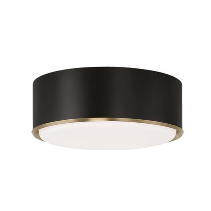 Capital Carlton Flush Mount - Matte Brass and Black