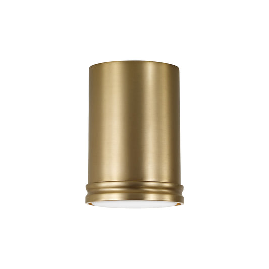 Capital Griffin Mini Flush Mount