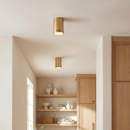 Capital Griffin Mini Flush Mount in Aged Brass