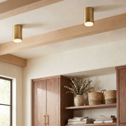 Capital Griffin Mini Flush Mount in Aged Brass