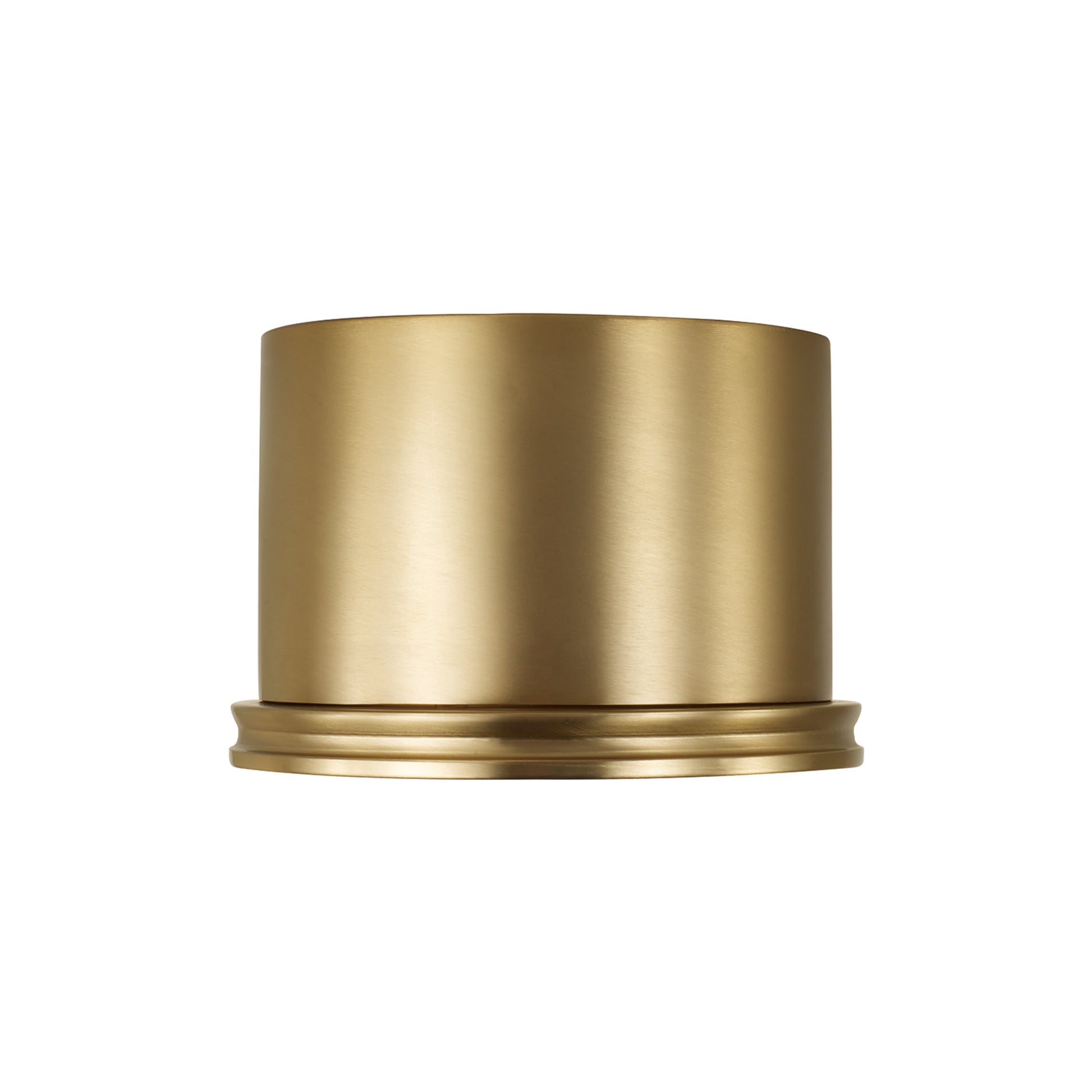 Capital Griffin Flush Mount in Aged Brass