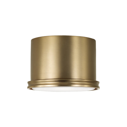 Capital Griffin Flush Mount in Aged Brass