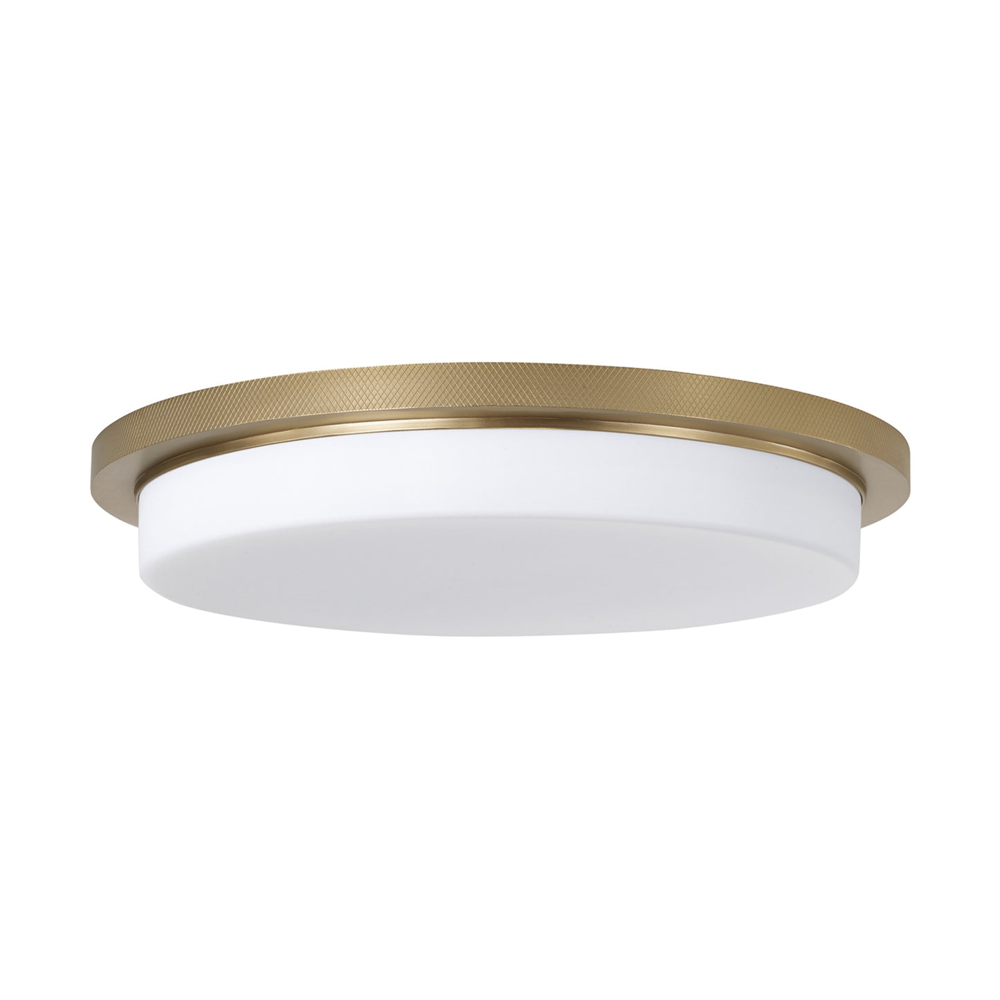 Capital Dominic Flush Mount