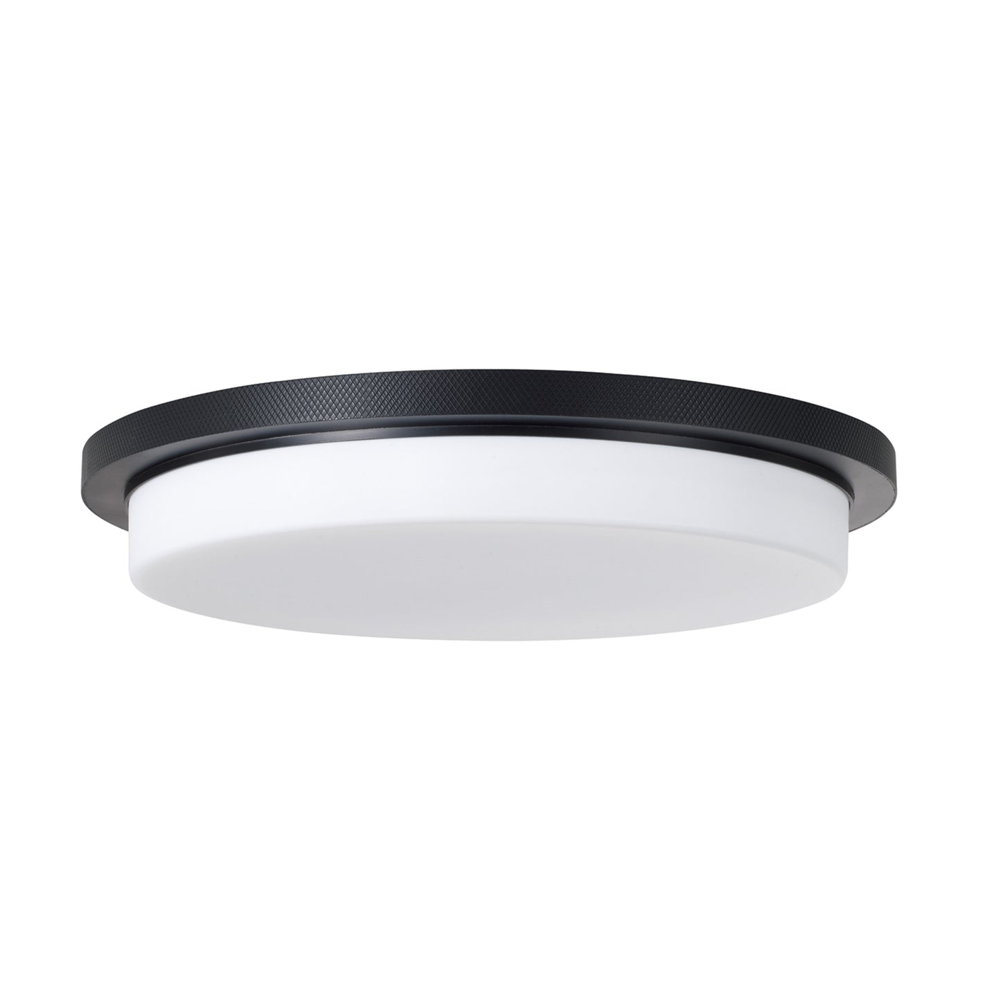 Capital Dominic Flush Mount