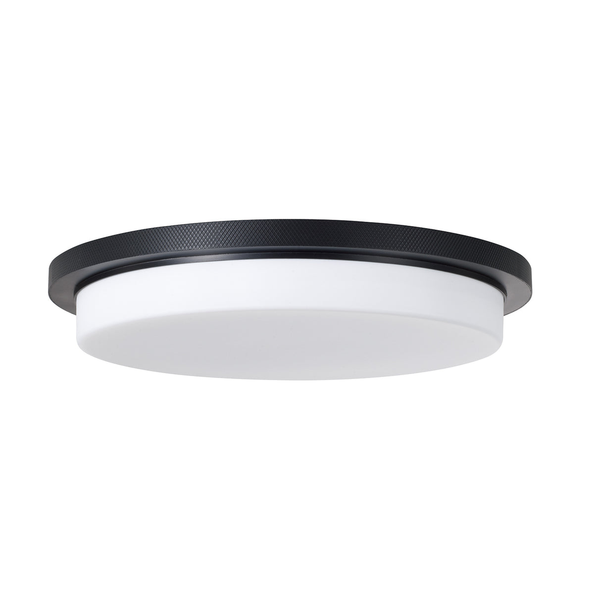 Capital Dominic Flush Mount - Matte Black