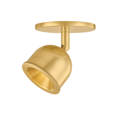 Hudson Valley Tuthill Flush Mount Aged Brass
