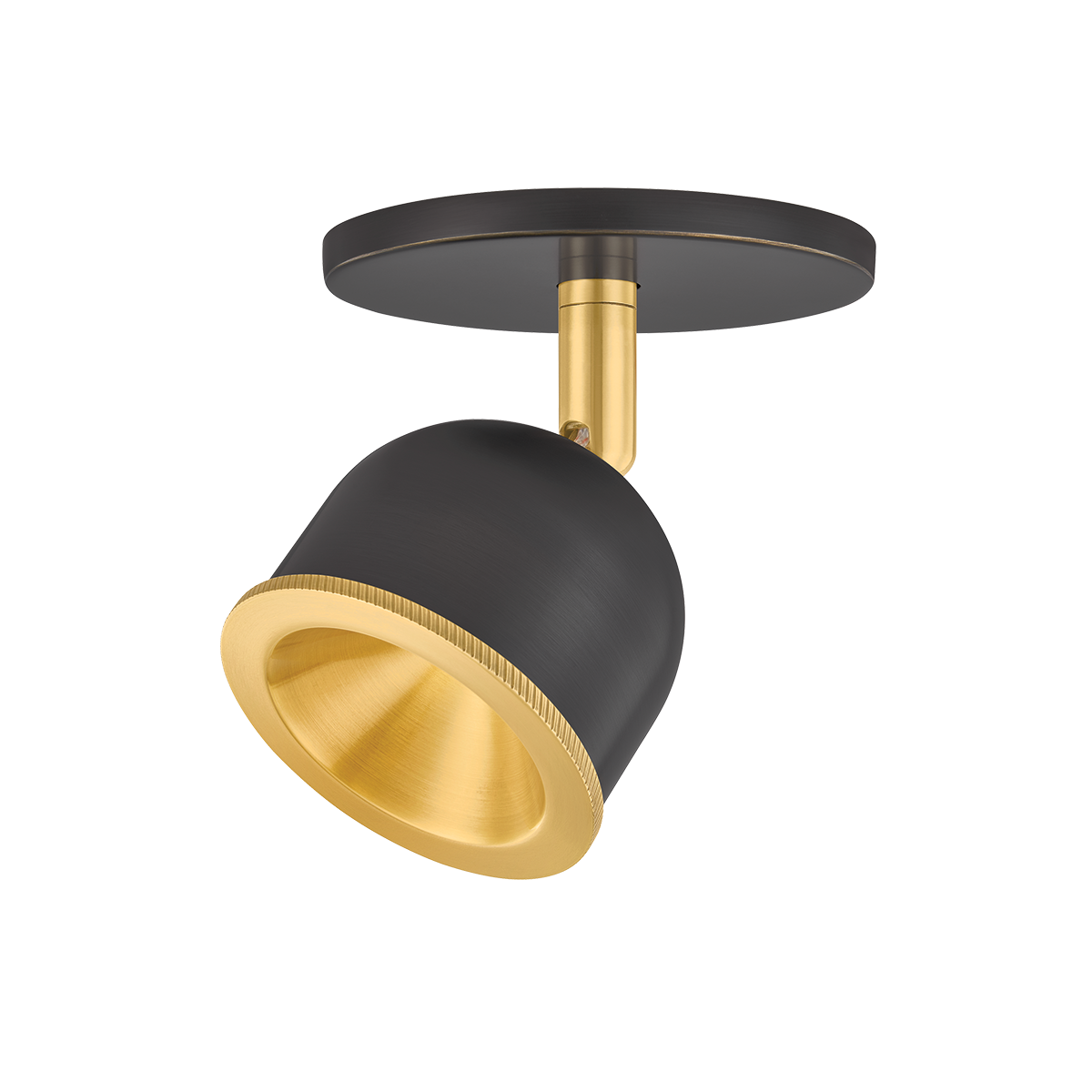 Hudson Valley Tuthill Flush Mount Aged Brass with Distressed Bronze