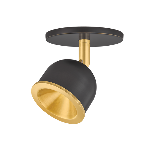 Hudson Valley Tuthill Flush Mount Aged Brass with Distressed Bronze