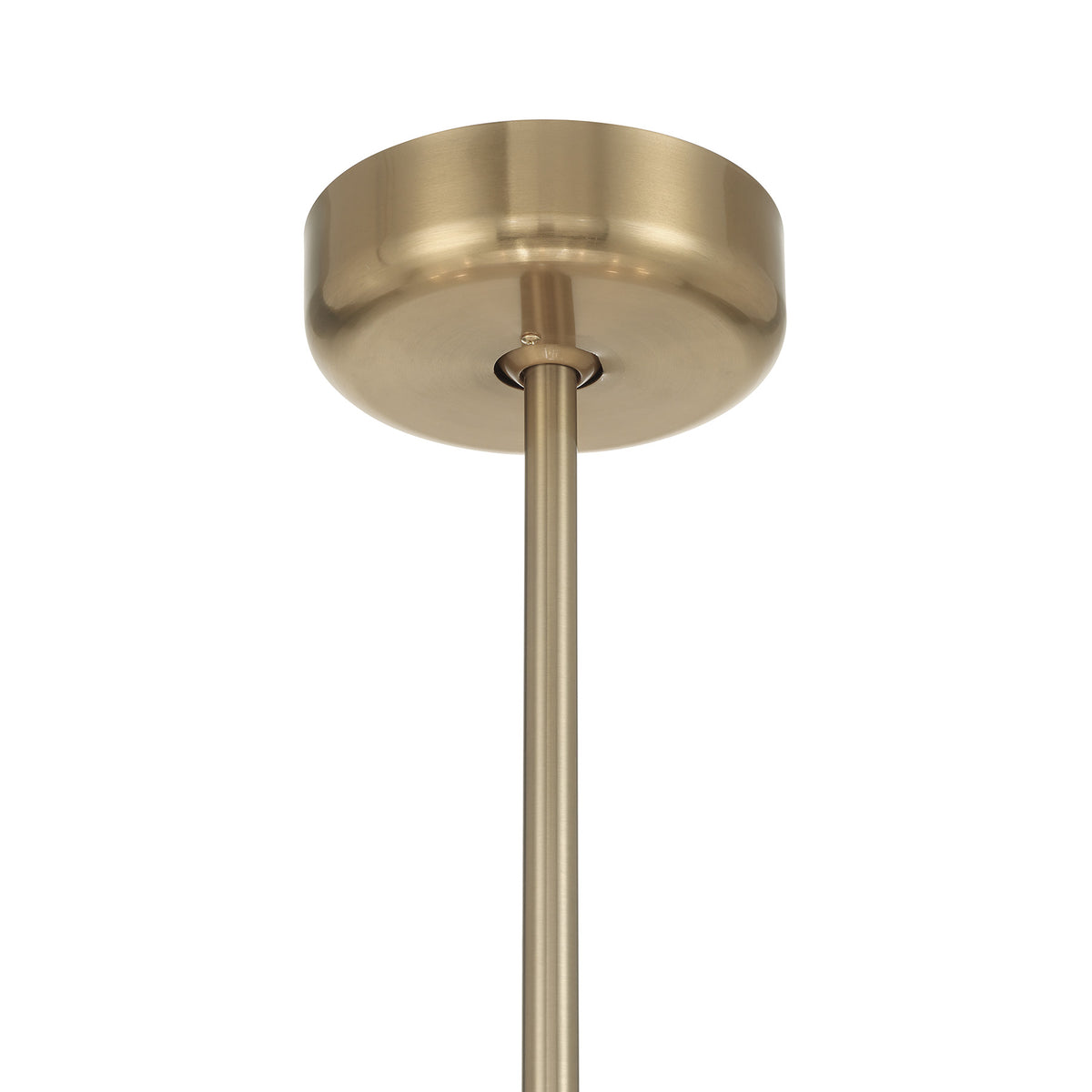 Savoy House Celina 12-Light Fan D'Lier - alternate view