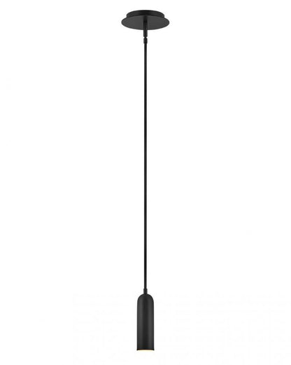 Hinkley Jax Down Mini Pendant Black