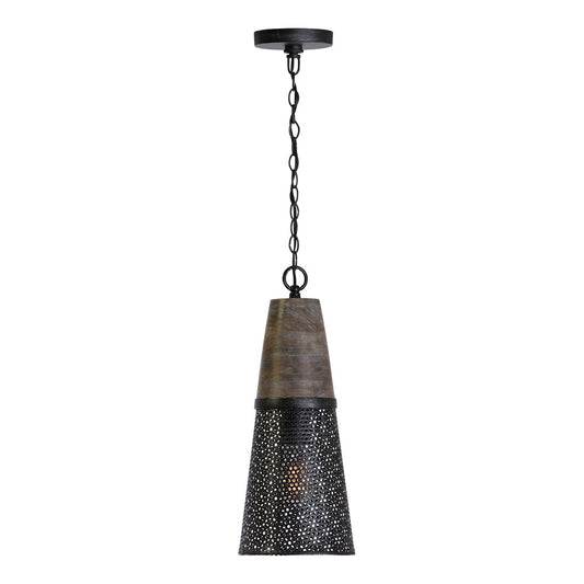 Capital Coker Pendant Barn House