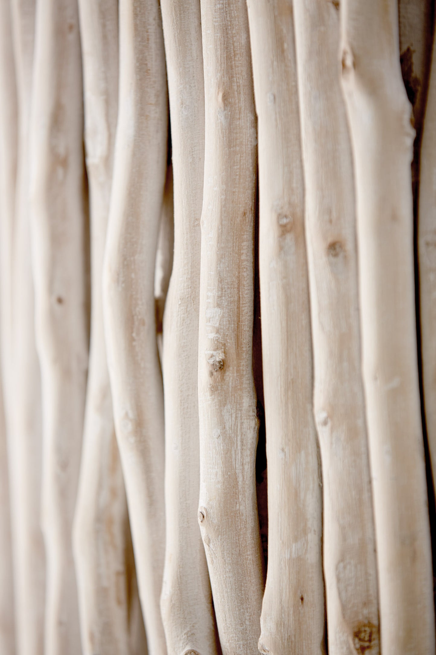 Pendants-Capital-340241PP