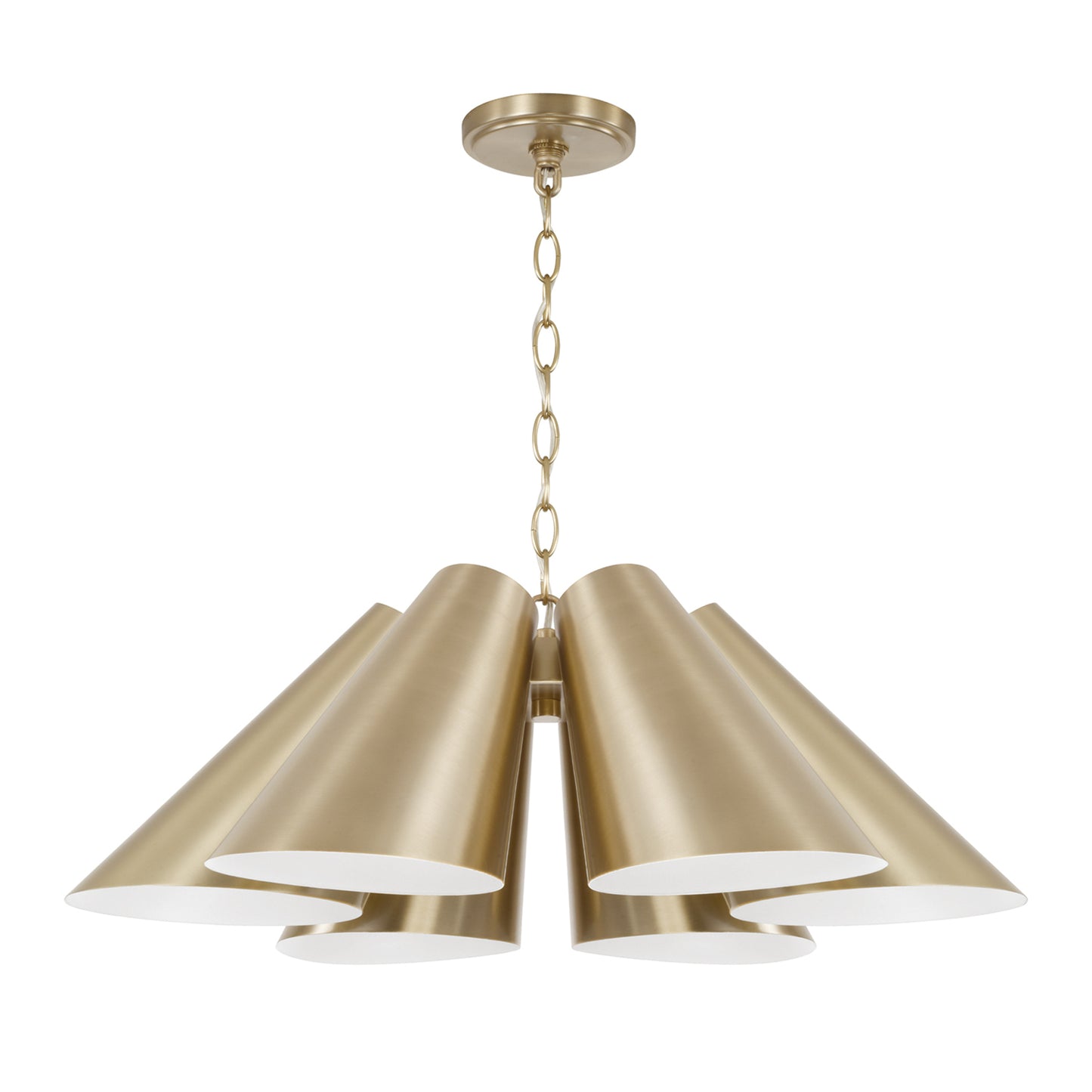 Capital Leo Pendant in Matte Brass