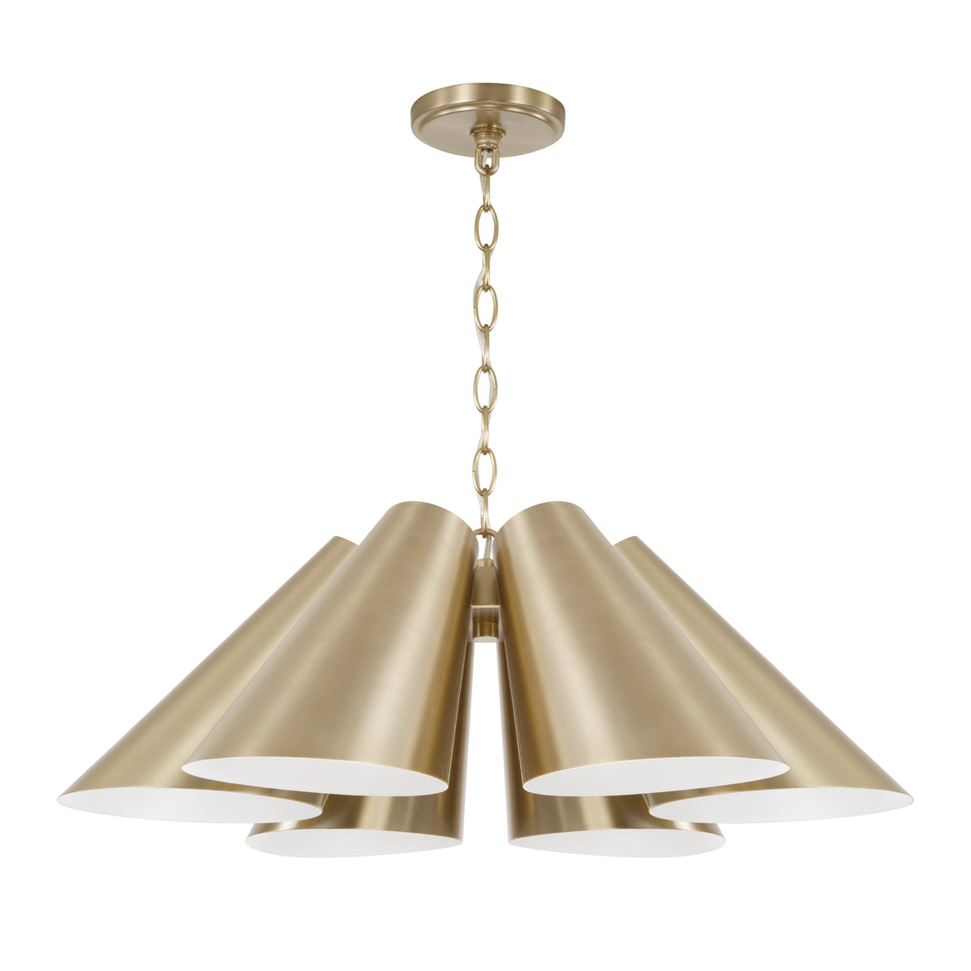Capital Leo Pendant in Matte Brass