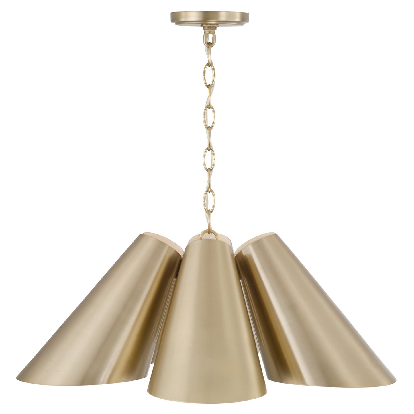 Capital Leo Pendant in Matte Brass