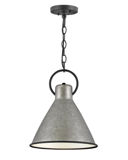 Winnie Down Pendant , Hinkley 3557RP