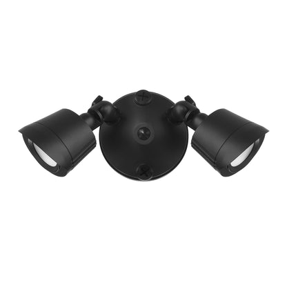 LED Double Flood Light