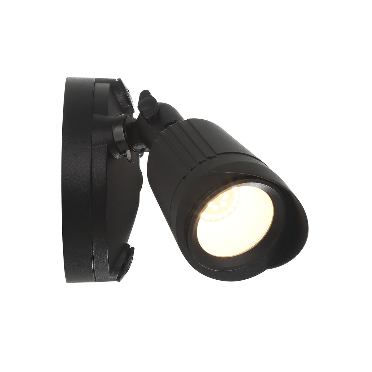 LED Double Flood Light