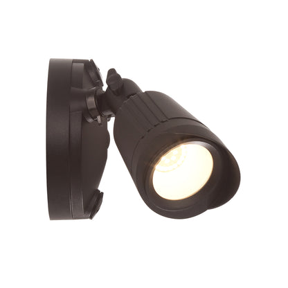 LED Double Flood Light