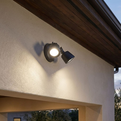 LED Double Flood Light