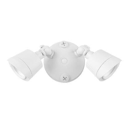 LED Double Flood Light