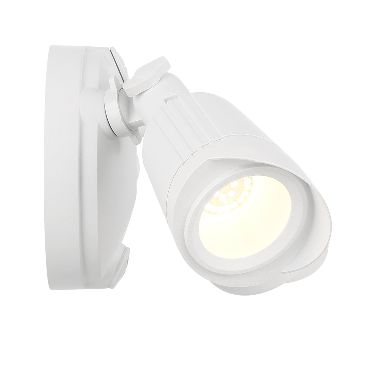 LED Double Flood Light