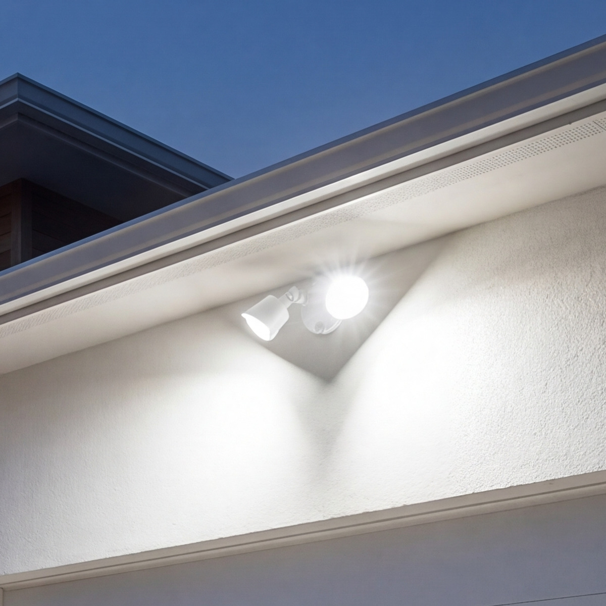 LED Double Flood Light
