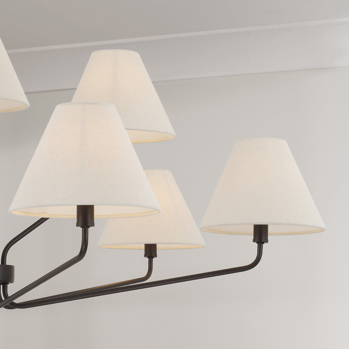 Capital Chadwick Large Chandelier