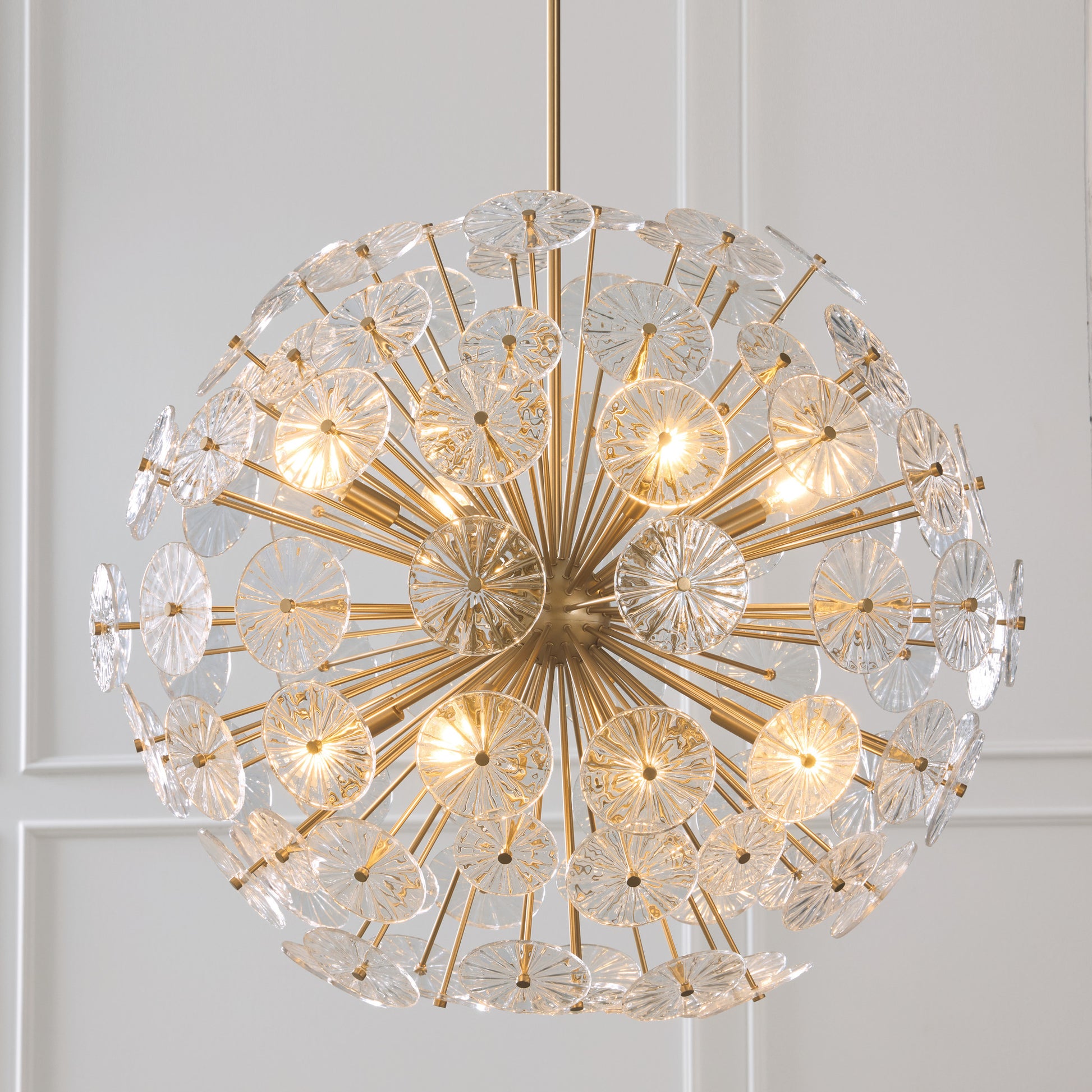 Capital Emelie Chandelier in Matte Brass