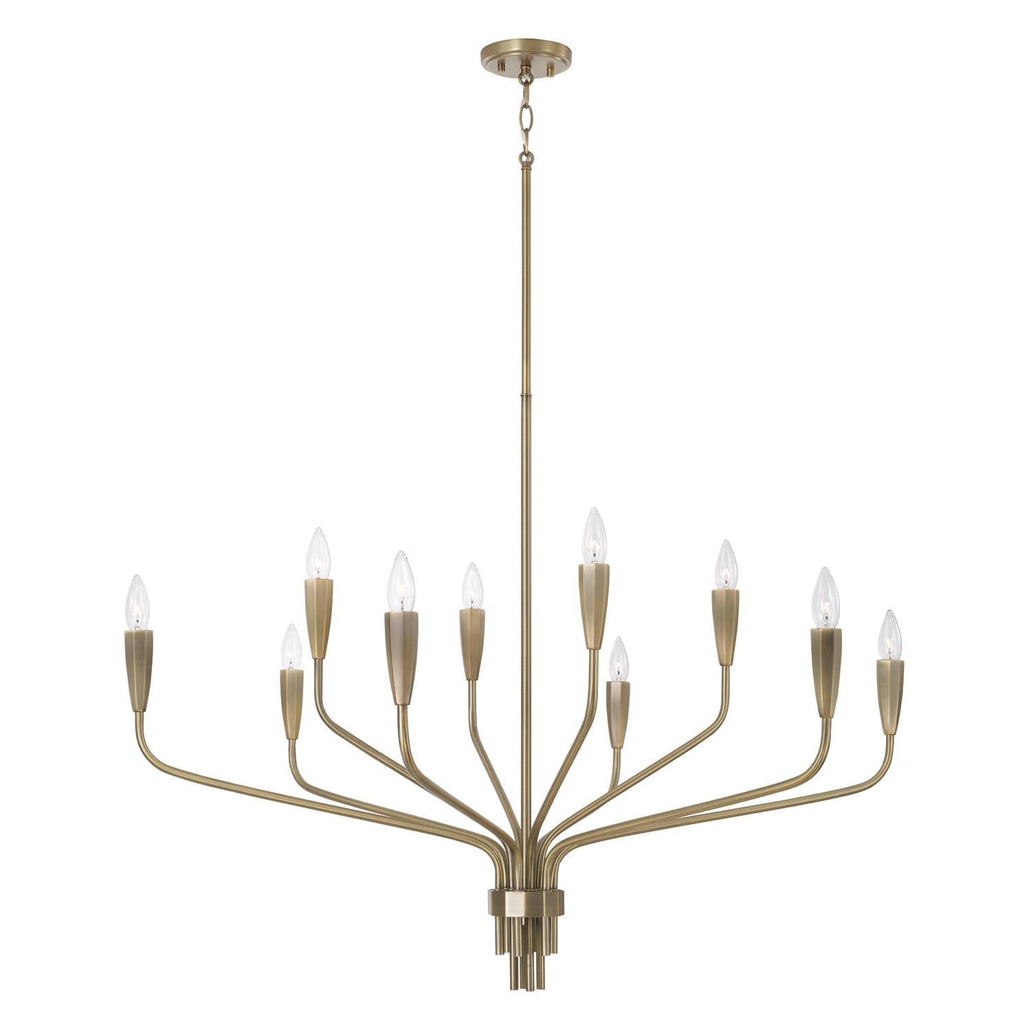 Capital Palmer Large Chandelier