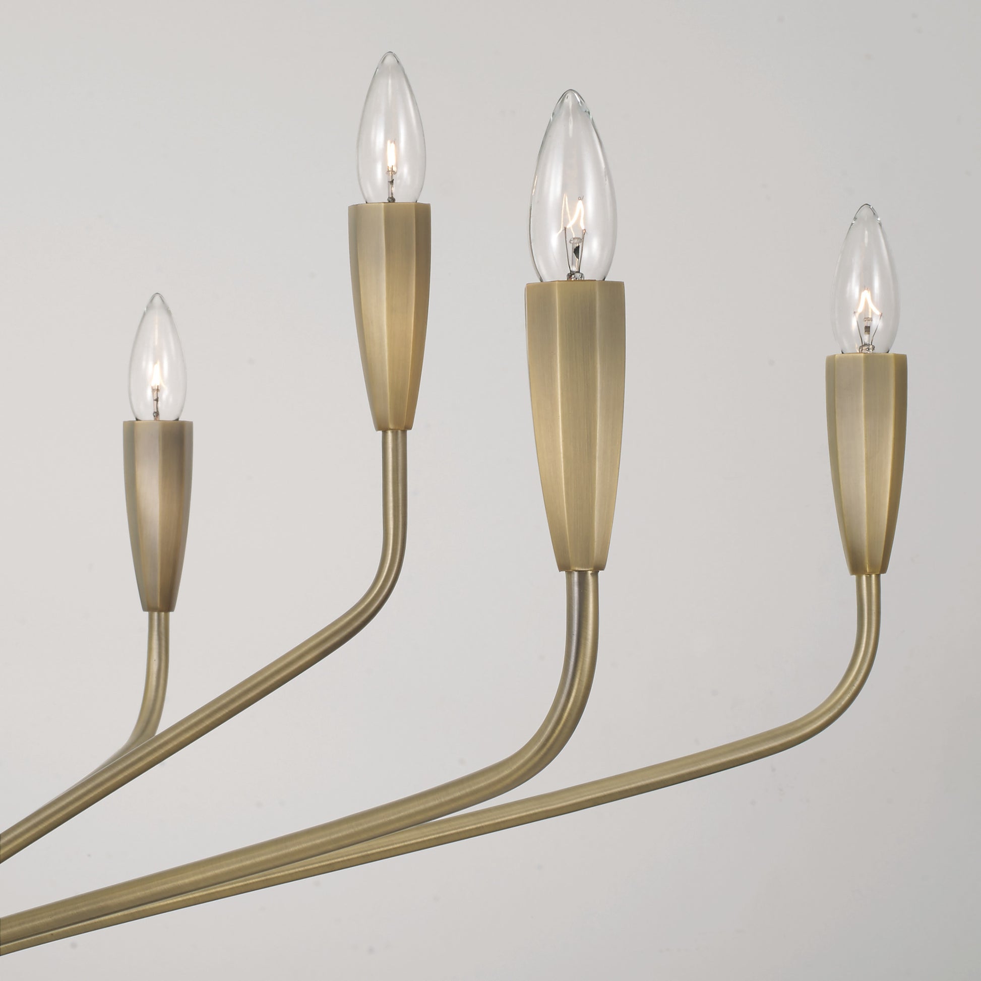 Capital Palmer Large Chandelier in Antiqued Brass
