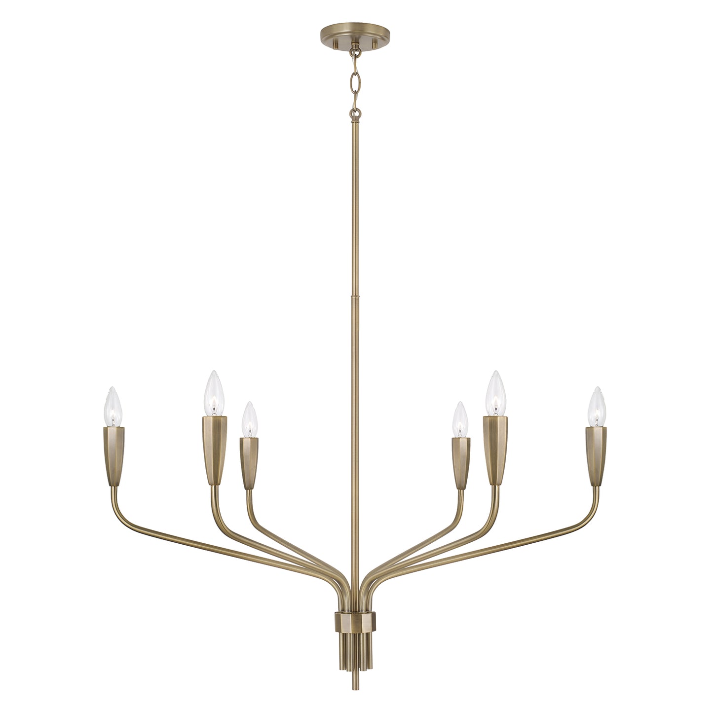 Capital Palmer Medium Chandelier