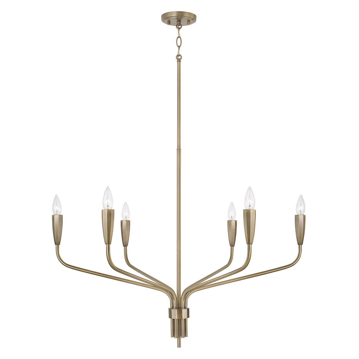 Capital Palmer Medium Chandelier
