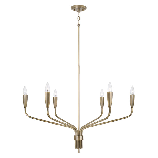 Capital Palmer Medium Chandelier