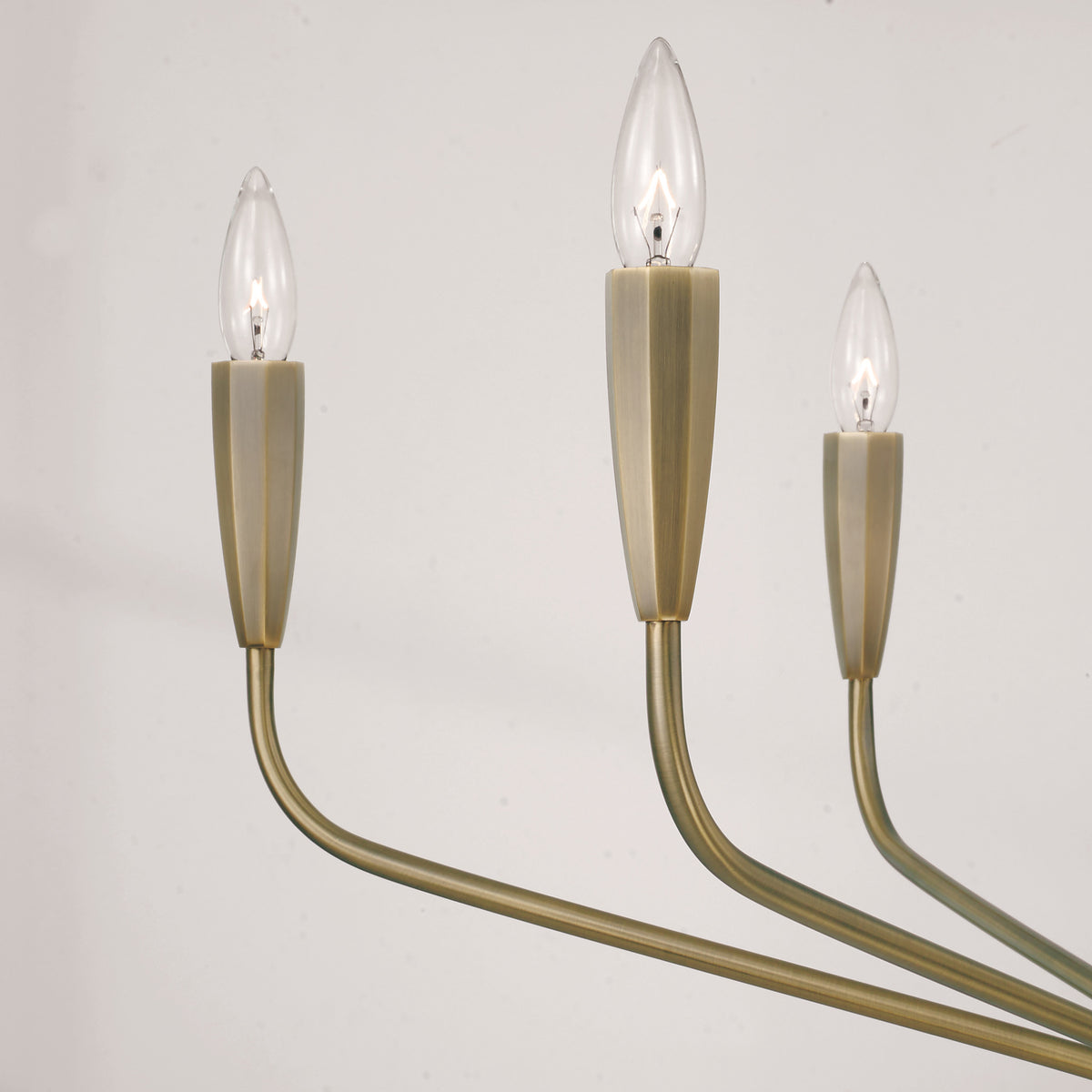 Capital Palmer Medium Chandelier in Antiqued Brass