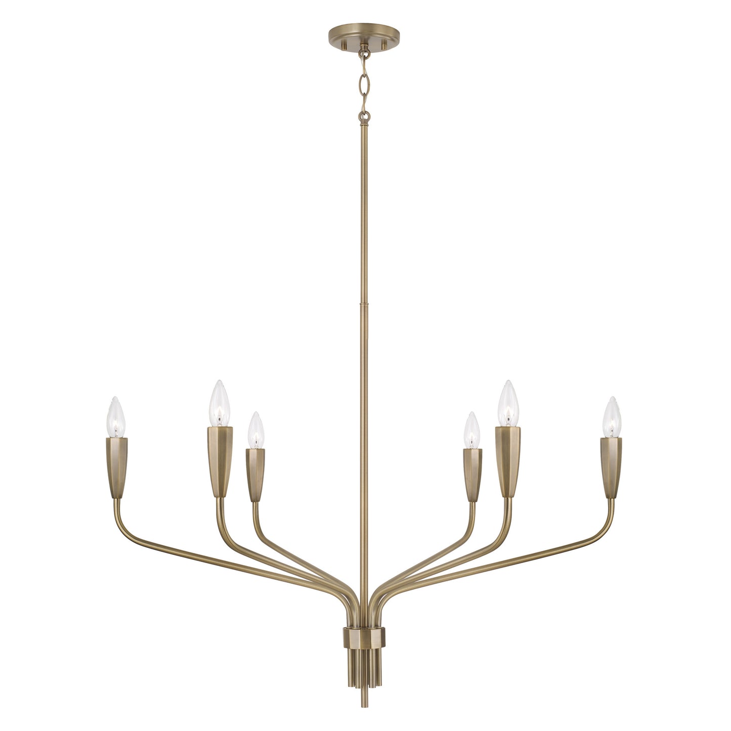 Capital Palmer Medium Chandelier in Antiqued Brass
