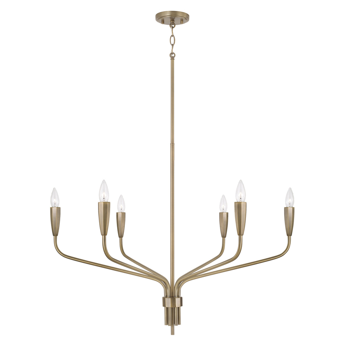 Capital Palmer Medium Chandelier in Antiqued Brass
