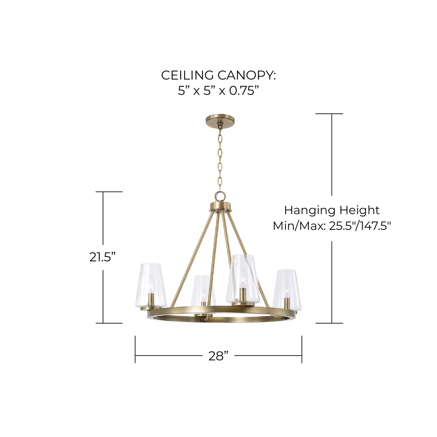 Capital Aaron Small Chandelier