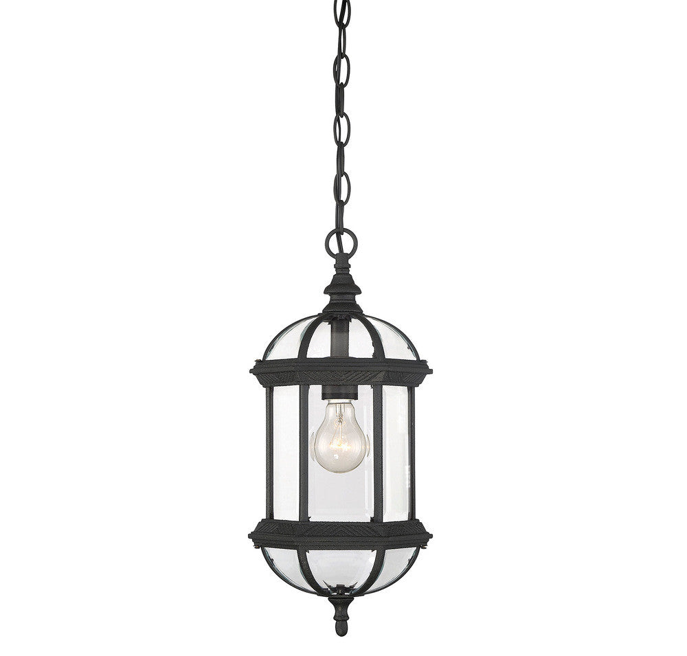 Savoy House Kensington 1-Light Outdoor Hanging Lantern Textured Black