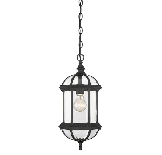 Savoy House Kensington 1-Light Outdoor Hanging Lantern Textured Black