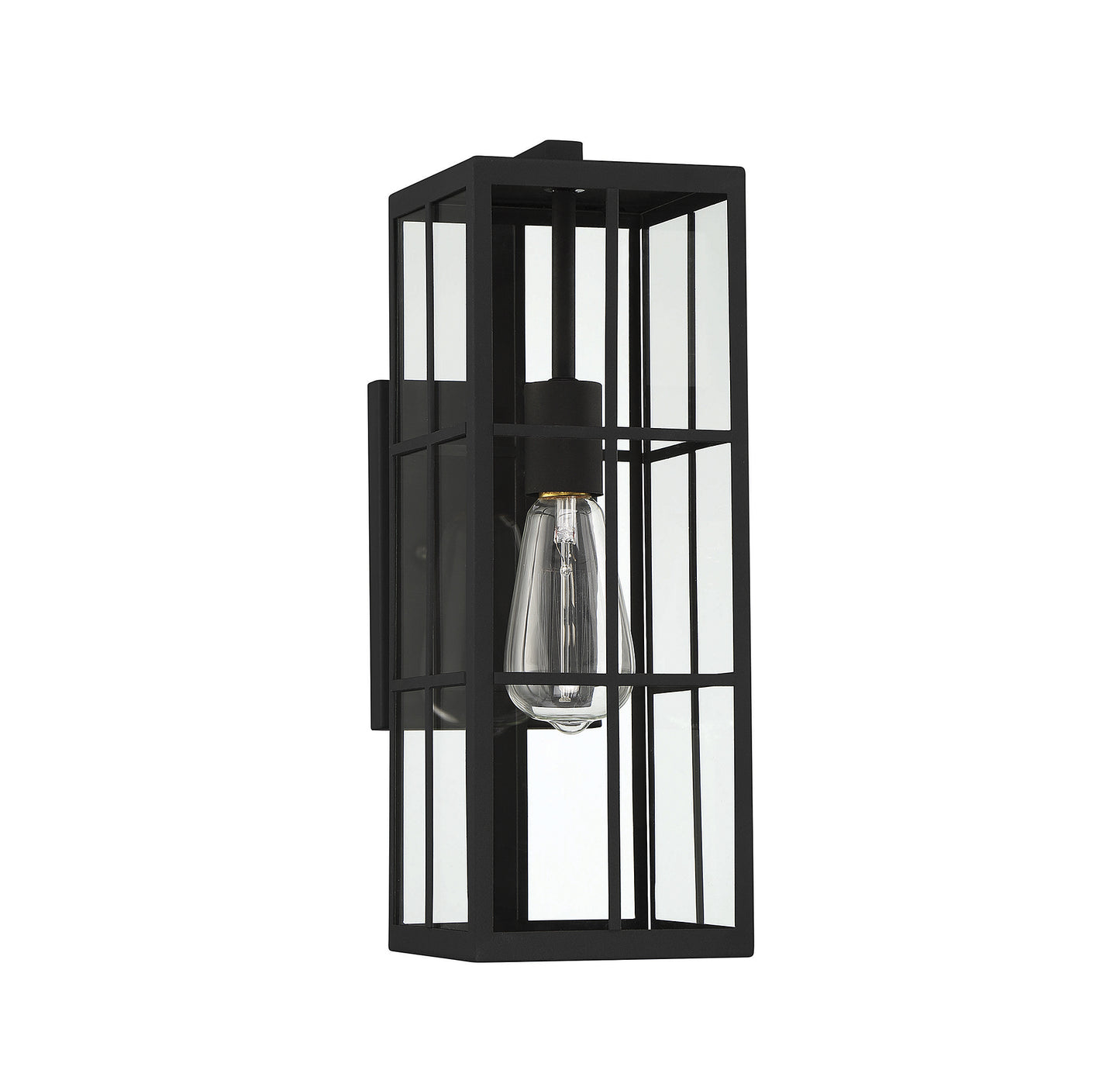 Ericson 1-Light Outdoor Wall Lantern - Matte Black