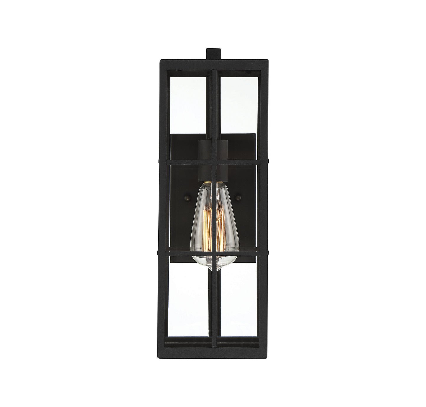 Ericson 1-Light Outdoor Wall Lantern - Matte Black