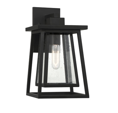 Denver 15-in Outdoor Wall Lantern in Matte Black