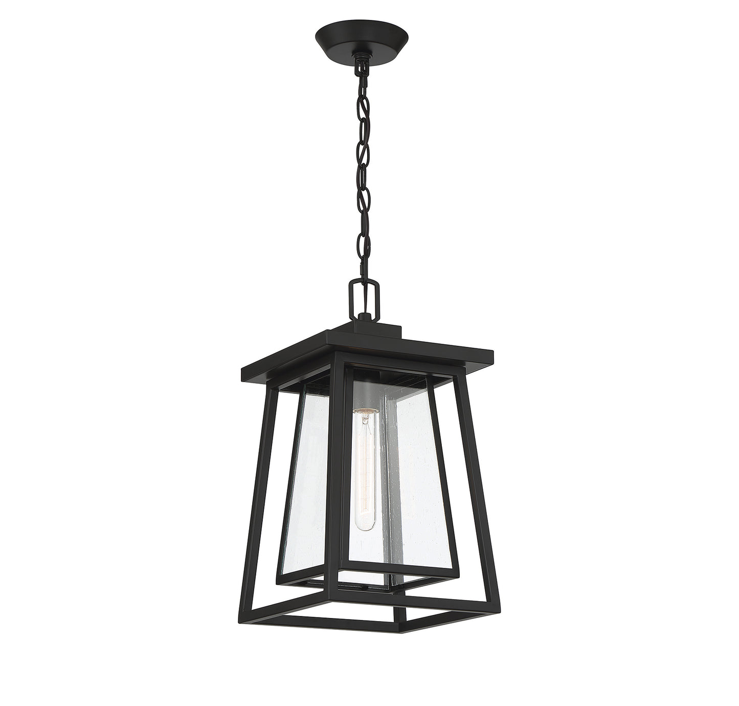 Denver 1-Light Outdoor Hanging Lantern in Matte Black