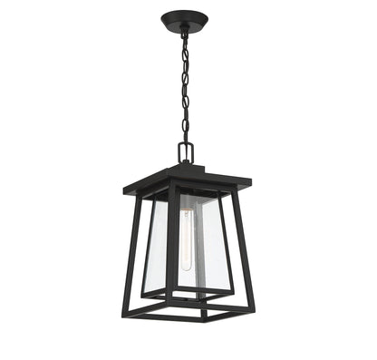 Denver 1-Light Outdoor Hanging Lantern in Matte Black