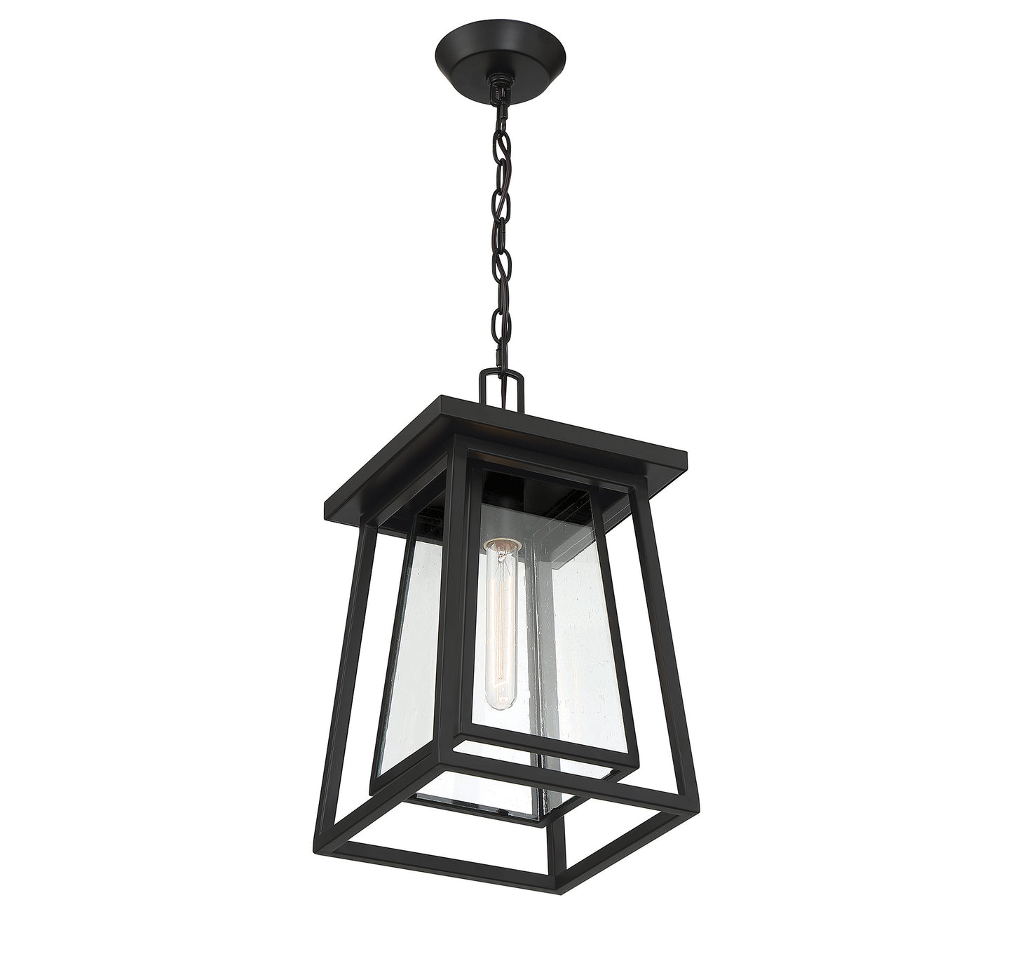 Denver 1-Light Outdoor Hanging Lantern in Matte Black