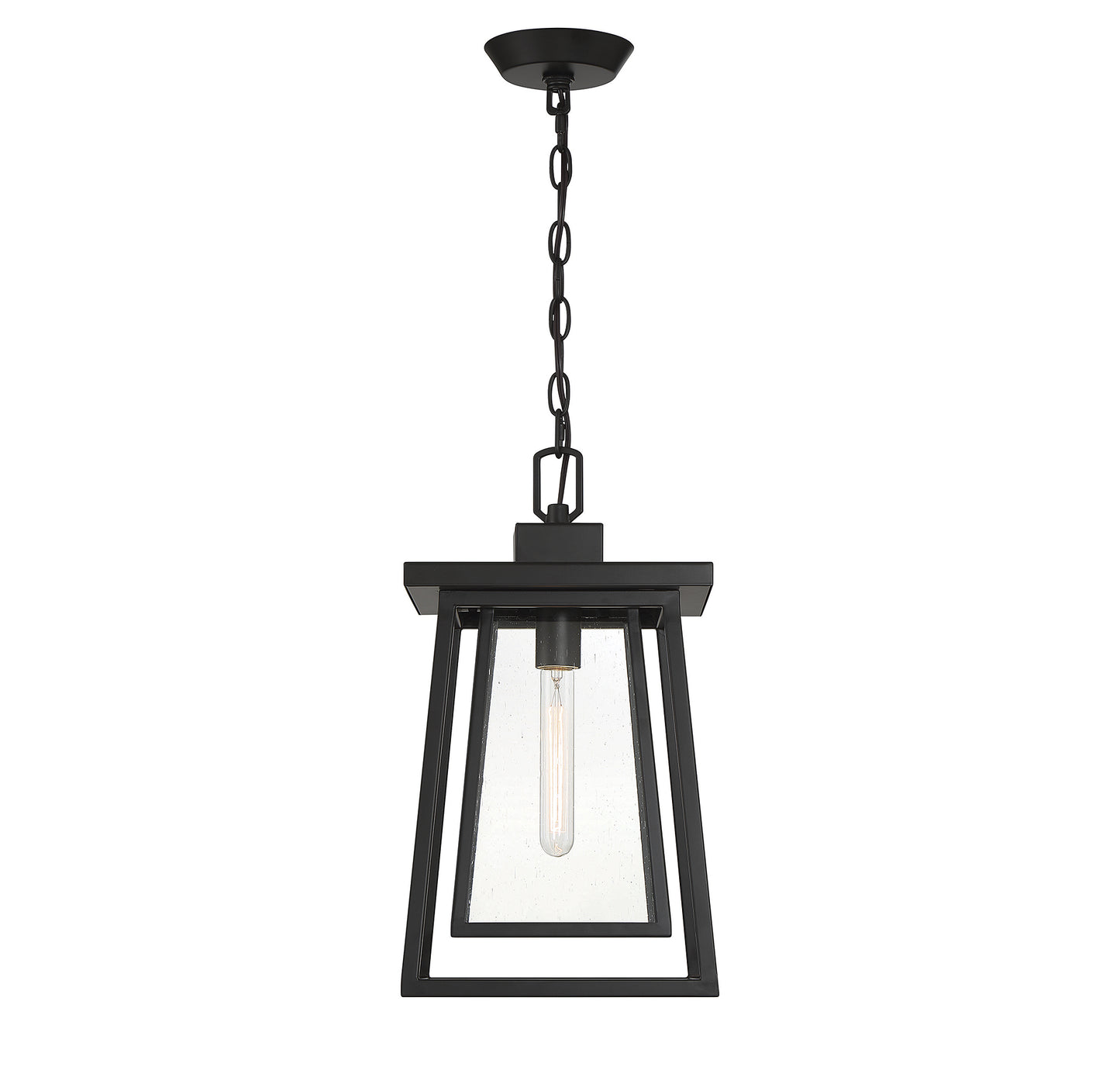 Denver 1-Light Outdoor Hanging Lantern in Matte Black